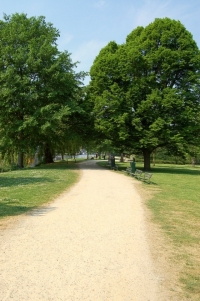 Westerpark in Amsterdam Walkway