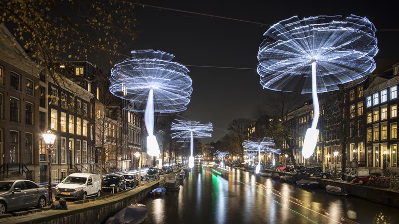 sztuka mniszka lekarskiego w Amsterdamie