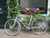 bike_with_flowers